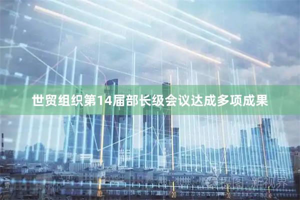 世贸组织第14届部长级会议达成多项成果