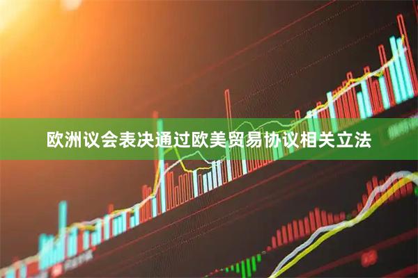 欧洲议会表决通过欧美贸易协议相关立法